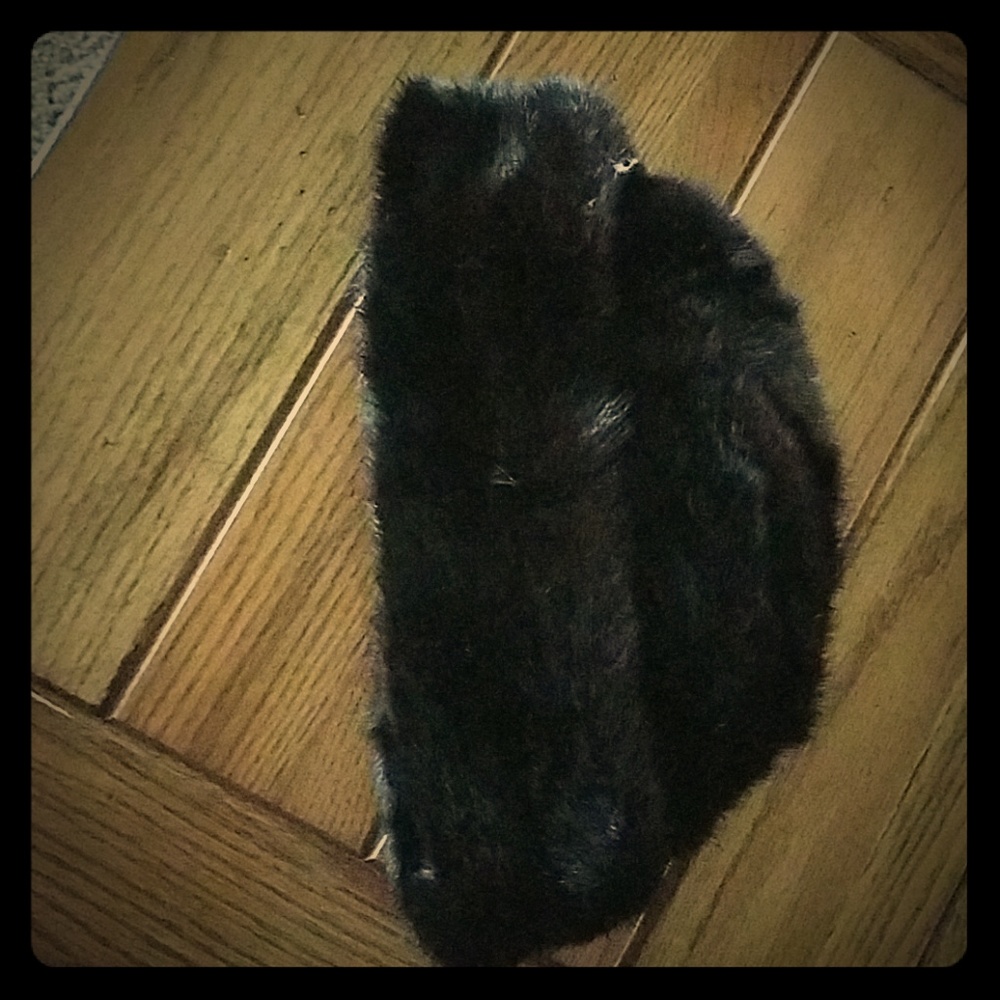 Mink hat